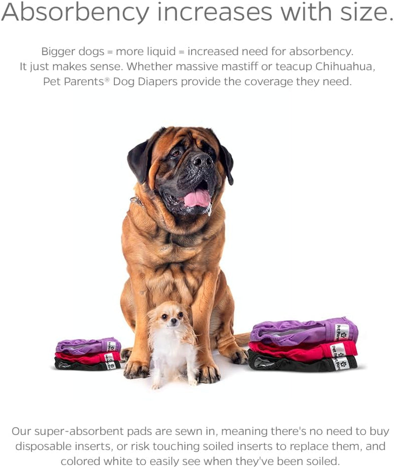 Premium Washable Dog Diapers & Extenders - 3 Pack for Female & Male Dogs (X-Small, Princess Design)