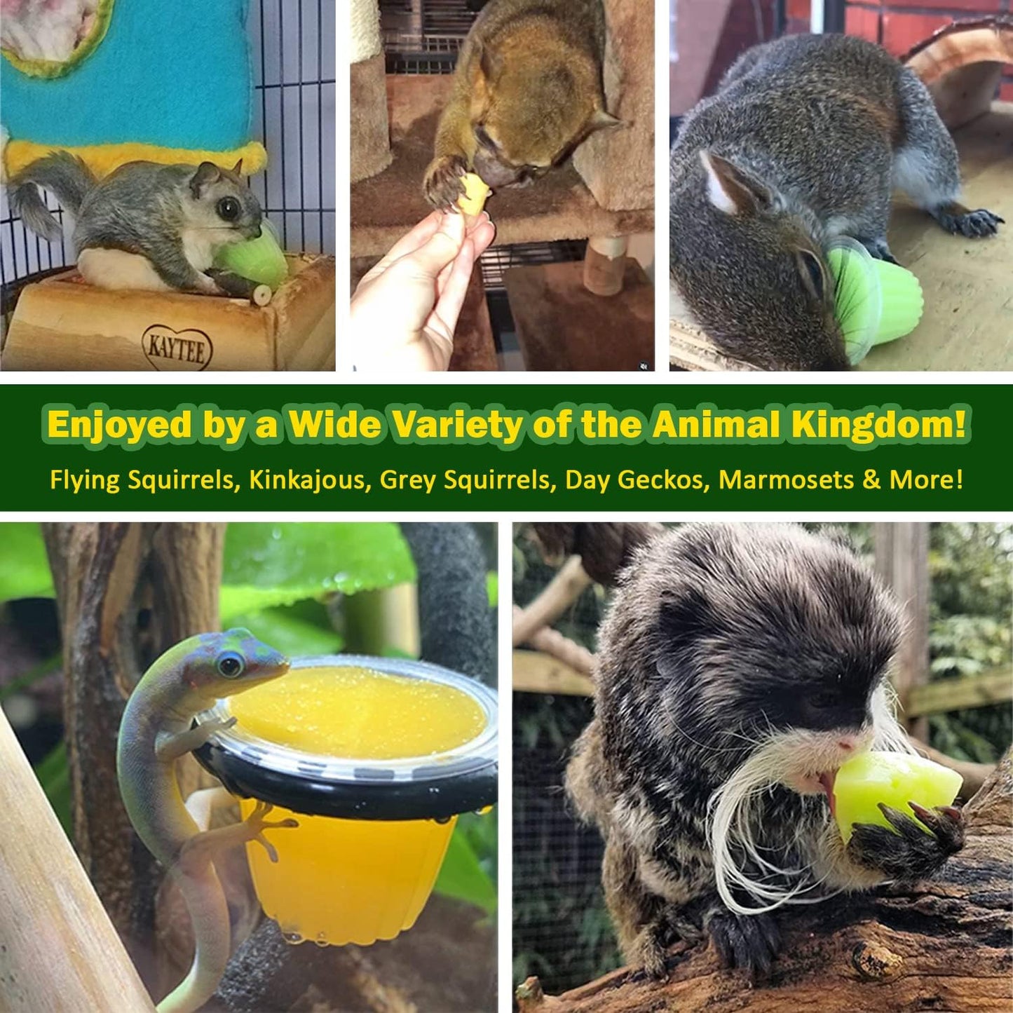 Nectar Pods Variety Pack (4 Count) - Calcium-Enriched Jelly Fruit Treats for Small Pets Including Sugar Gliders, Marmosets, Squirrels, Parrots, Cockatiels, Parakeets, Hamsters, Day Geckos, Kinkajous, and More