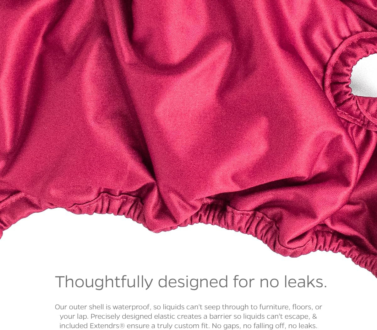 Premium Washable Dog Diapers & Extenders - 3 Pack for Female & Male Dogs (X-Small, Princess Design)