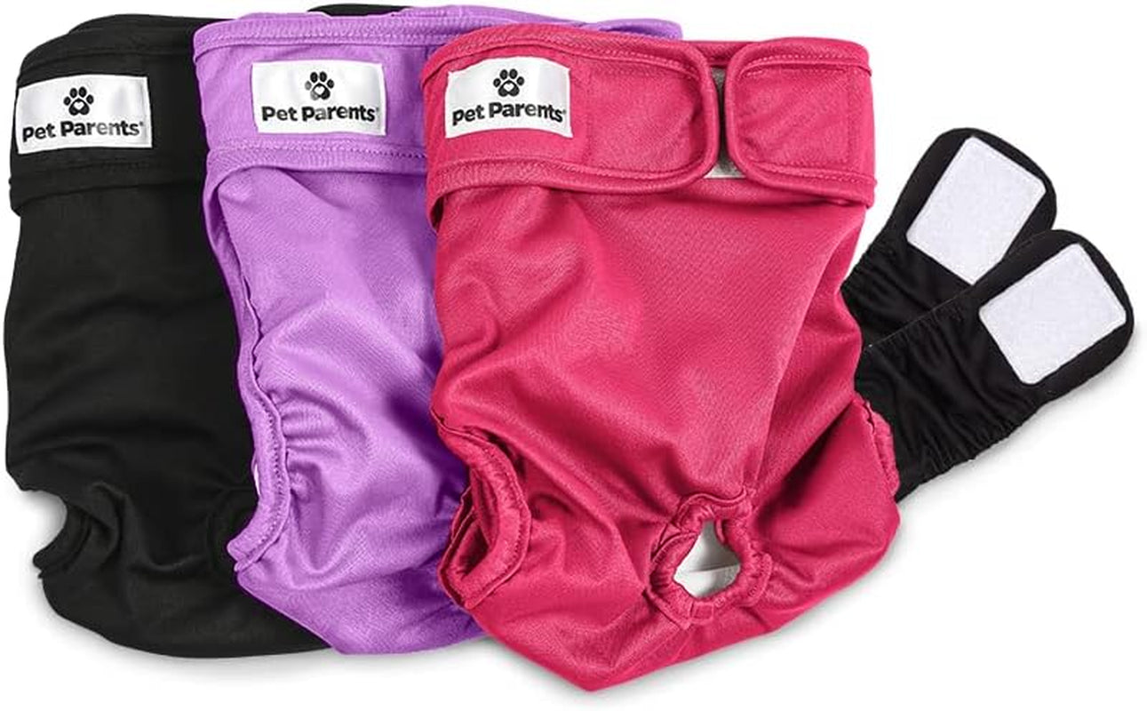 Premium Washable Dog Diapers & Extenders - 3 Pack for Female & Male Dogs (X-Small, Princess Design)