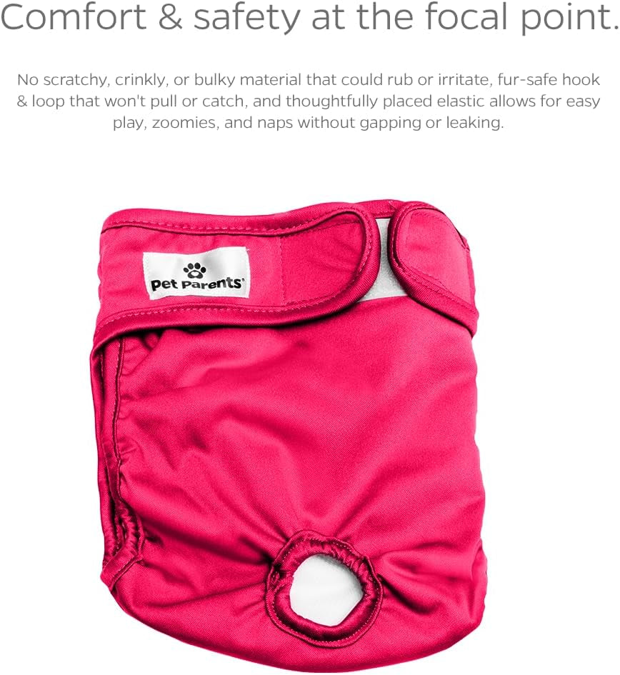 Premium Washable Dog Diapers & Extenders - 3 Pack for Female & Male Dogs (X-Small, Princess Design)