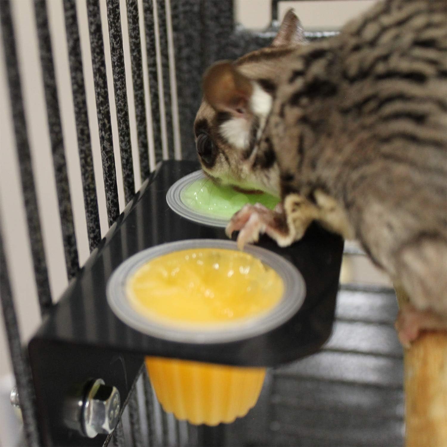 Nectar Pods Variety Pack (4 Count) - Calcium-Enriched Jelly Fruit Treats for Small Pets Including Sugar Gliders, Marmosets, Squirrels, Parrots, Cockatiels, Parakeets, Hamsters, Day Geckos, Kinkajous, and More