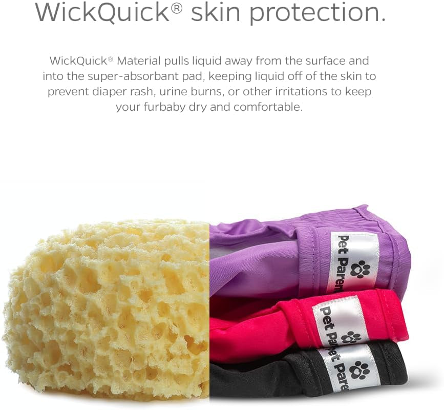 Premium Washable Dog Diapers & Extenders - 3 Pack for Female & Male Dogs (X-Small, Princess Design)